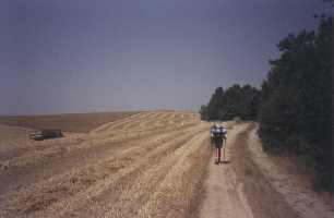 Por campos de cereales