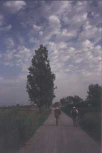 Caminando por la maana